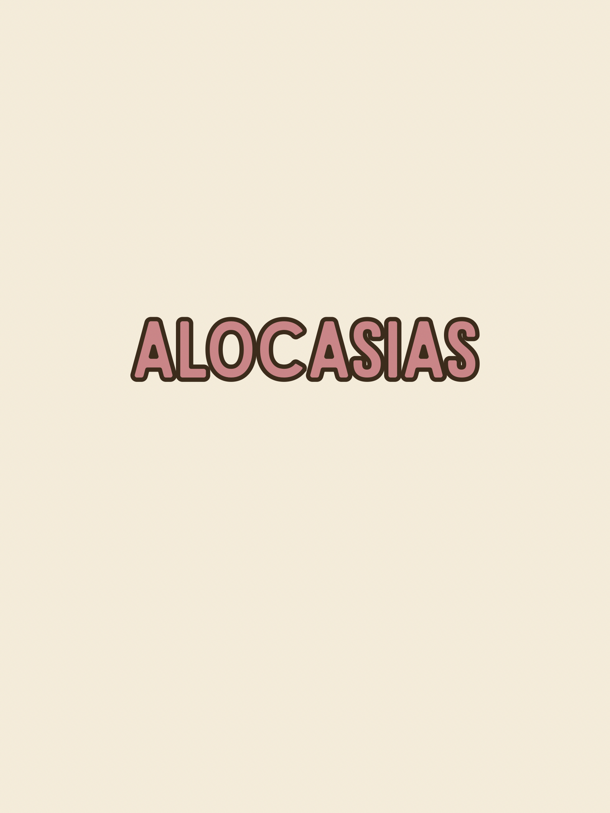 Alocasia