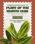 Plant Of The Month Club