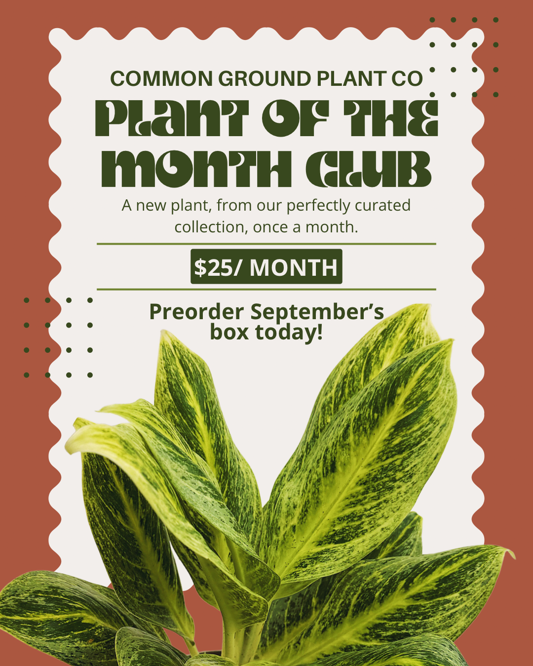 Plant Of The Month Club