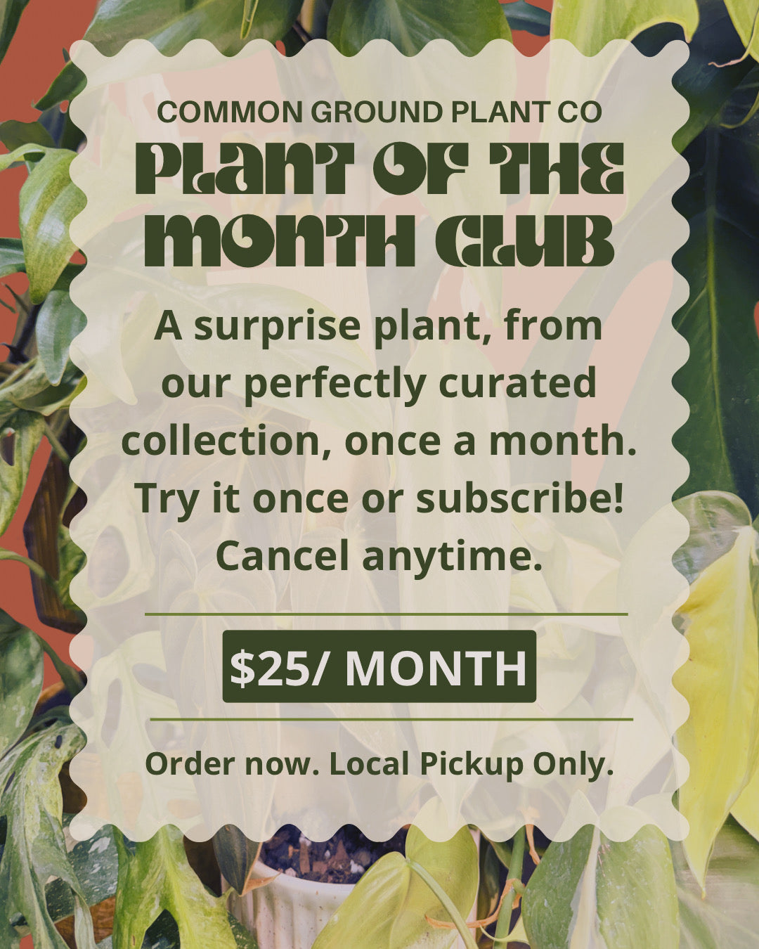 Plant Of The Month Club