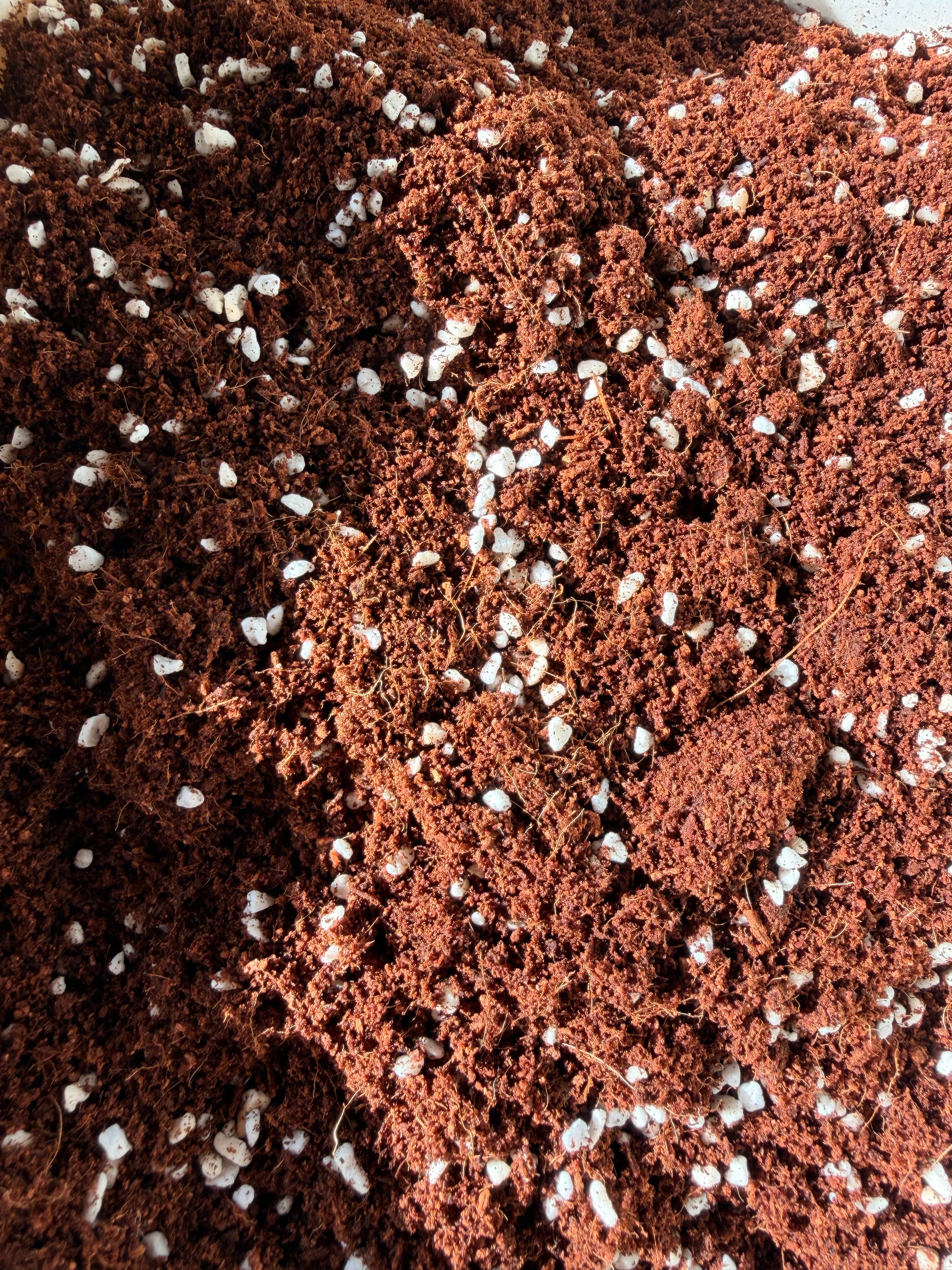 Coir + Perlite