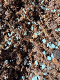Sphag + Perlite