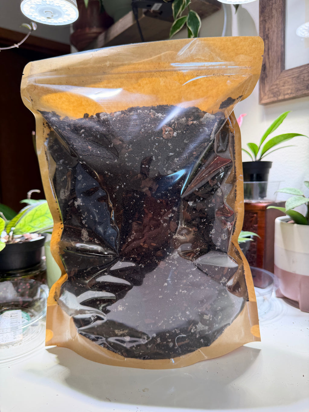 Hand Mixed Potting Mix